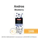 ANDROS Puree Blueberry 1KG