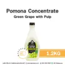 POMONA Concentrate Green Grape 1.2KG